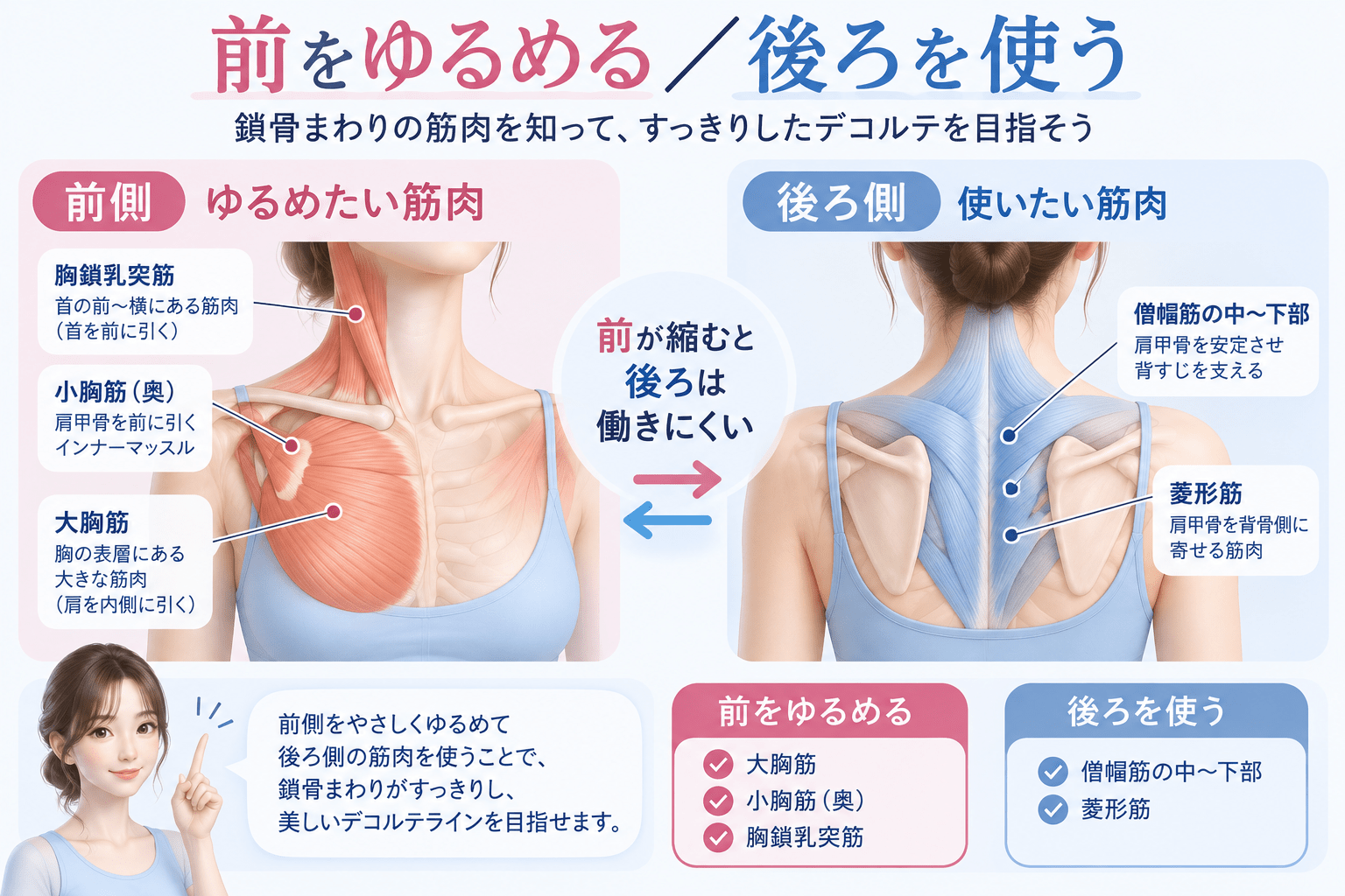 鎖骨まわりでゆるめたい前側の筋肉（大胸筋・小胸筋・首の前〜横）と、使いたい後ろ側の筋肉（肩甲骨を寄せる筋肉・僧帽筋の中〜下）を前面・背面で色分けした3D医療イラスト